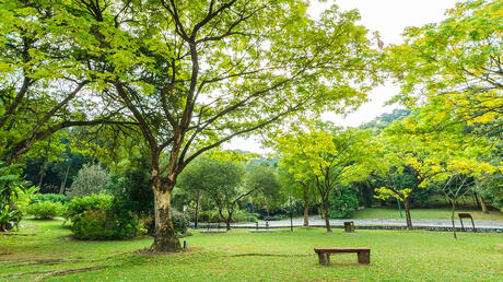Public Park
